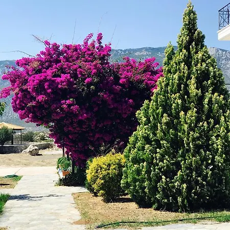 Stunning Sea View Loft