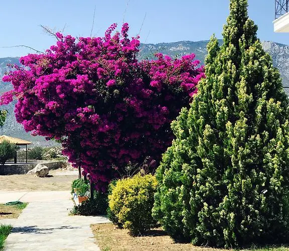 Stunning Sea View Loft